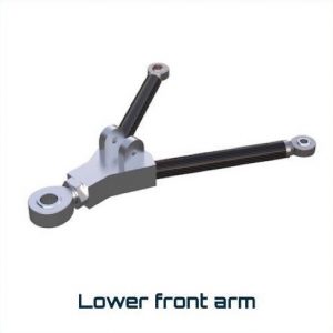 lower front arm