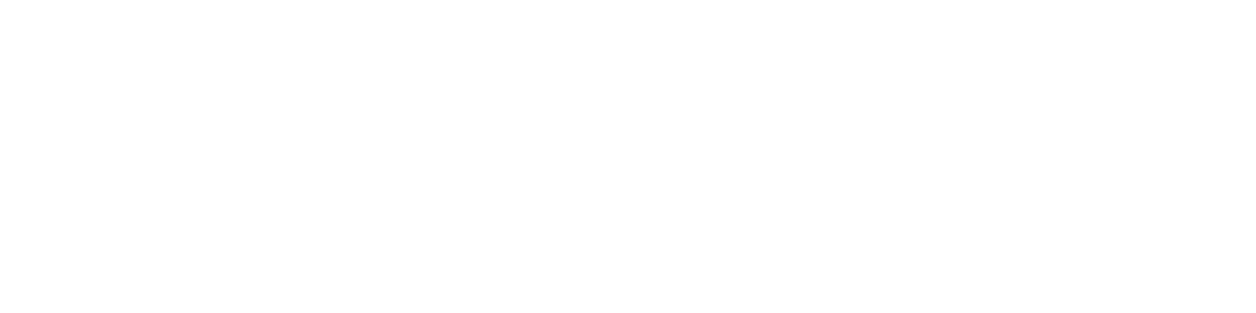 Técnico Fuel Cell