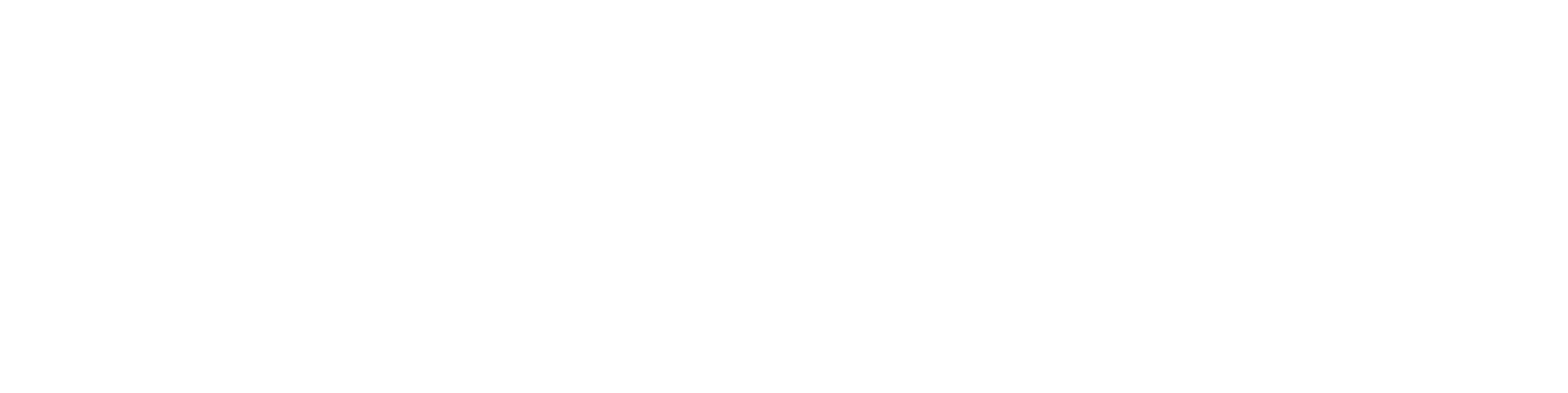 Técnico Fuel Cell
